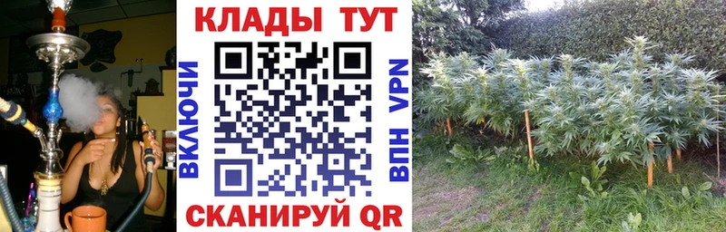 Где купить Собинка COCAIN  АМФЕТАМИН  СОЛЬ  Марихуана  Псилоцибиновые грибы  Гашиш 