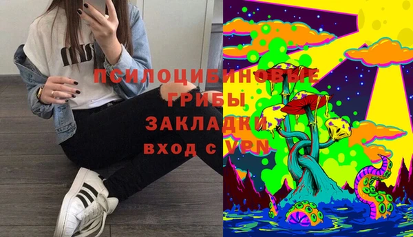 скорость Алзамай