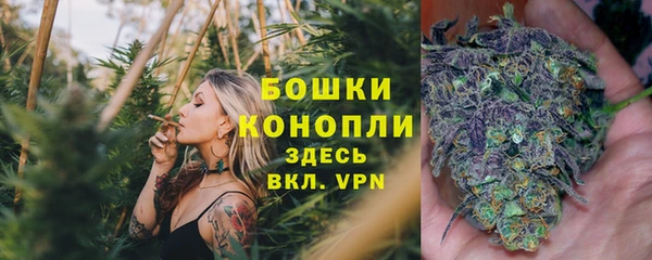 герыч Новозыбков