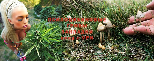 скорость Алзамай
