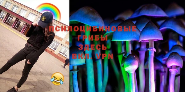 синтетический гашиш Алексеевка