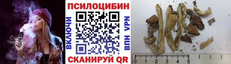 KRAKEN зеркало  Собинка  Галлюциногенные грибы мицелий 